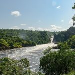 Uganda Highlights Safari